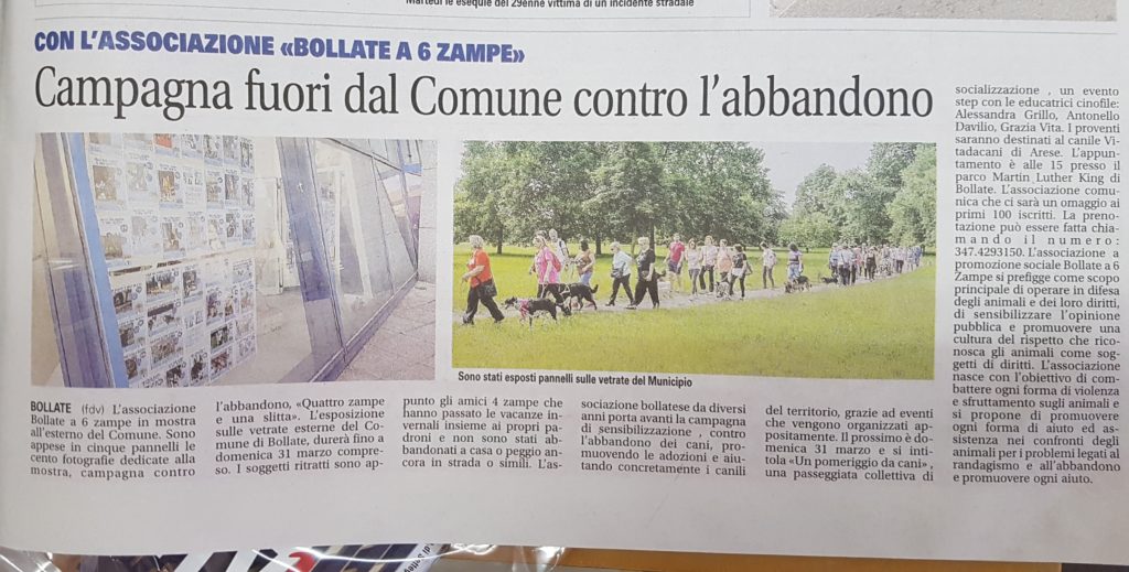 dicono di noi articoli giornale bollate a 6 zampe