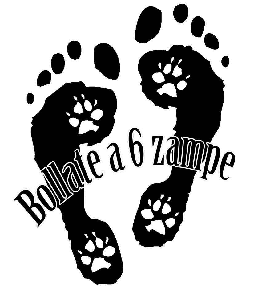 Bollate a 6 zampe
