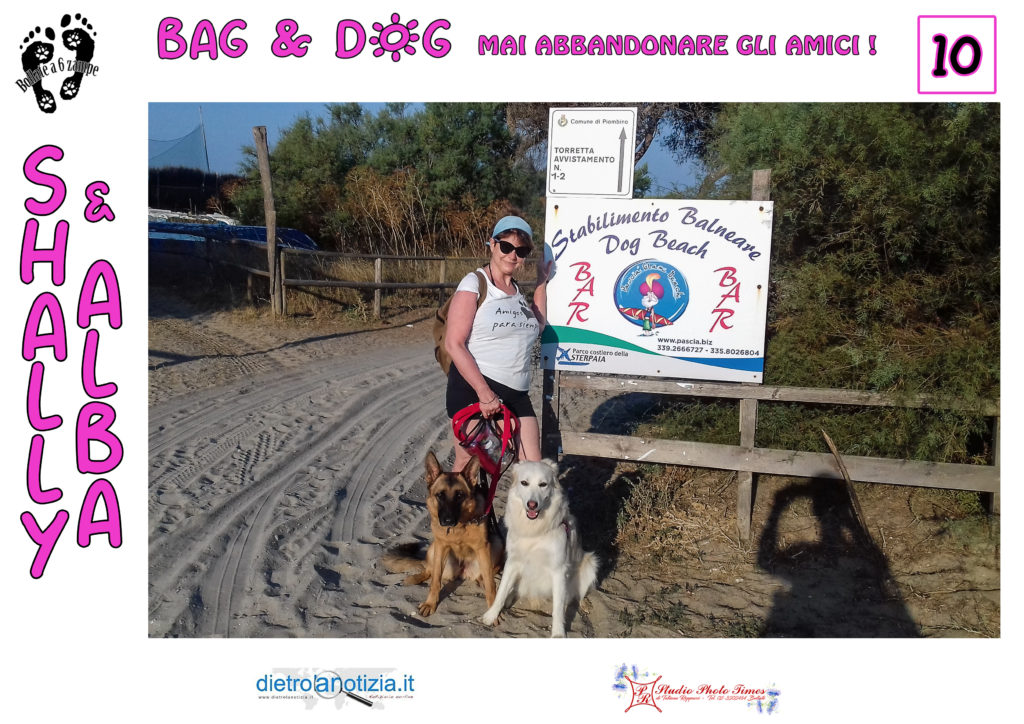 bag and dog bollate a 6 zampe