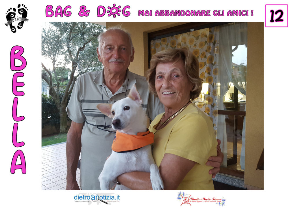 bag and dog bollate a 6 zampe