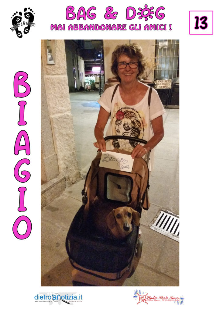 bag and dog bollate a 6 zampe
