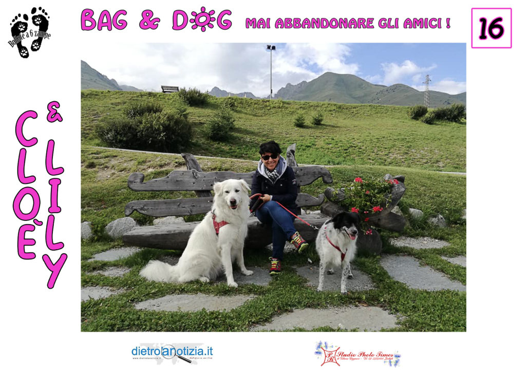 bag and dog bollate a 6 zampe