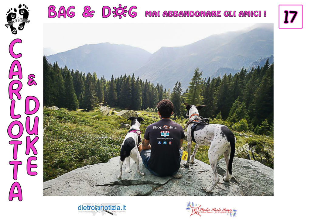 bag and dog bollate a 6 zampe