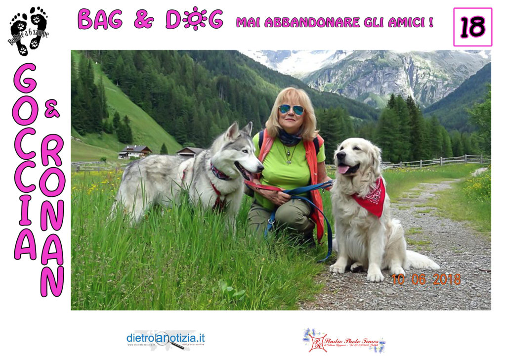 bag and dog bollate a 6 zampe
