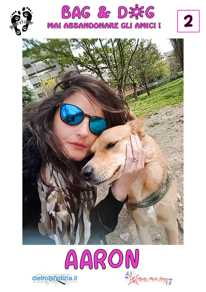 bag and dog bollate a 6 zampe