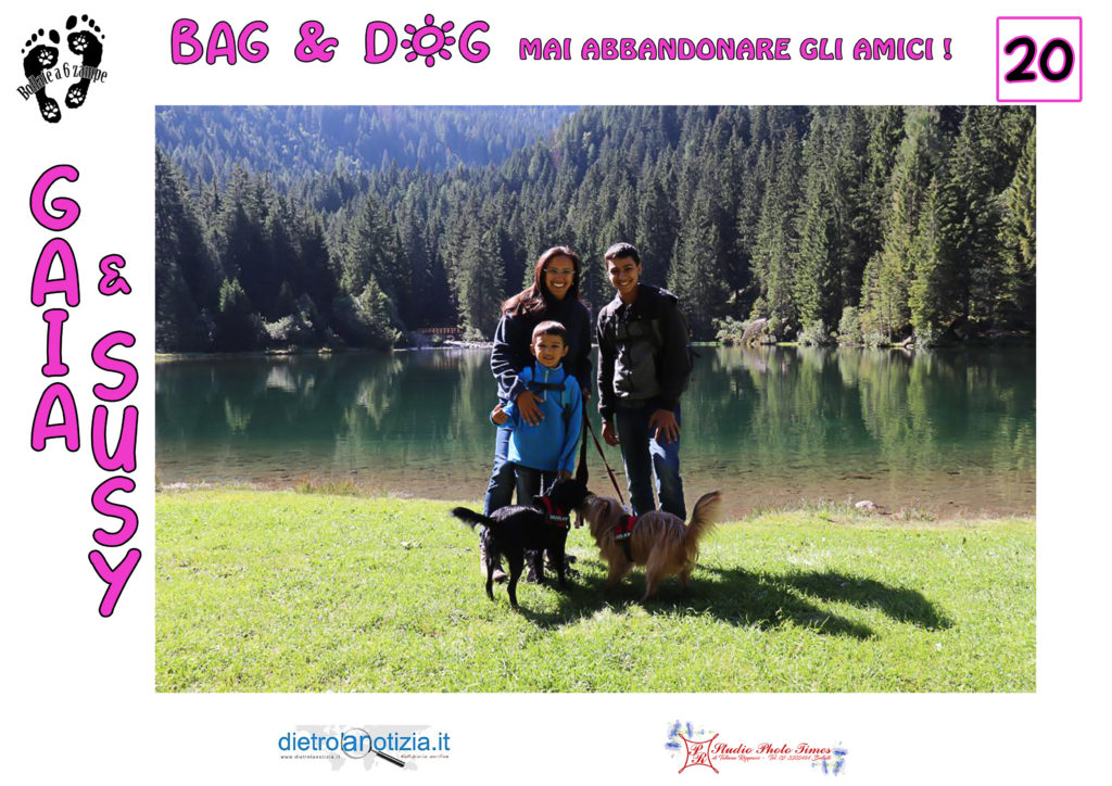 bag and dog bollate a 6 zampe