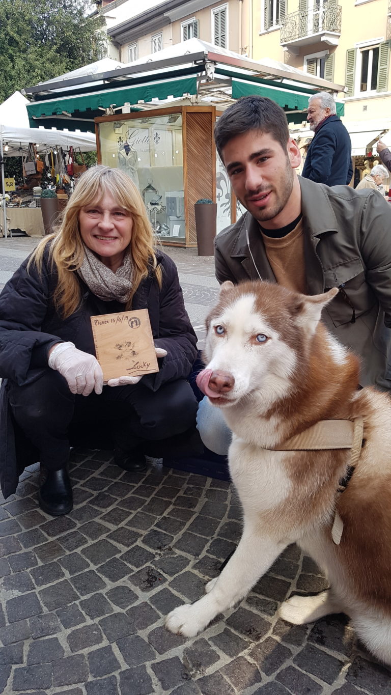 galleria bollate a 6 zampe