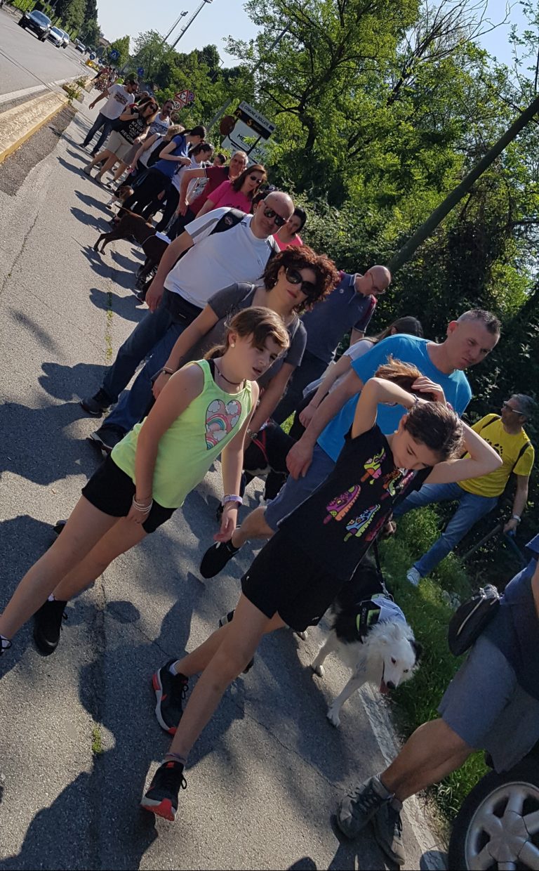 galleria bollate a 6 zampe