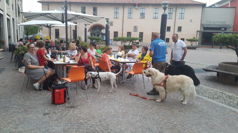 galleria bollate a 6 zampe