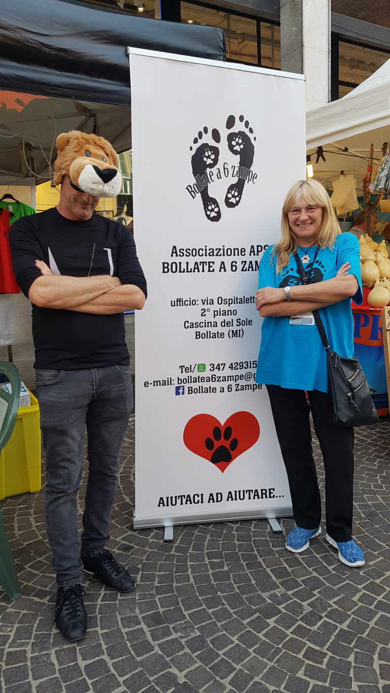 galleria bollate a 6 zampe