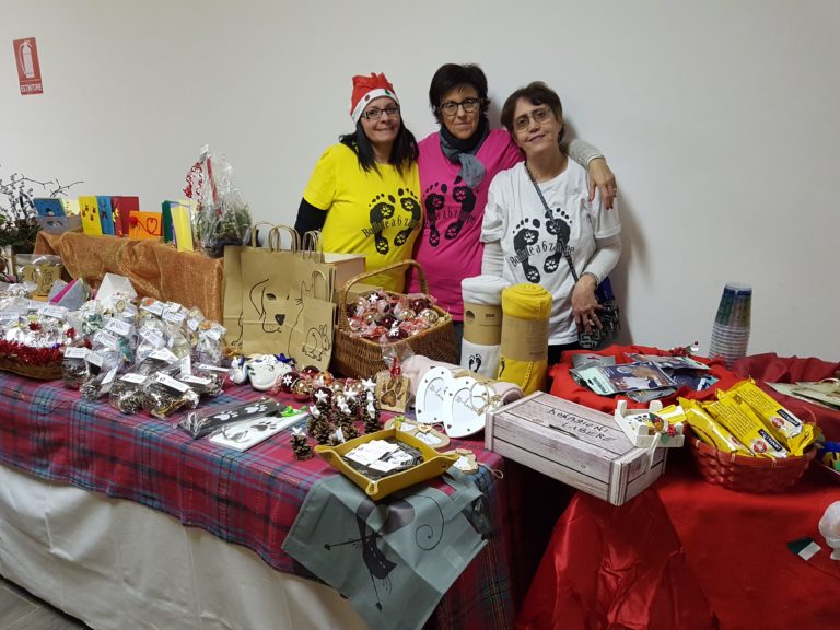 galleria bollate a 6 zampe