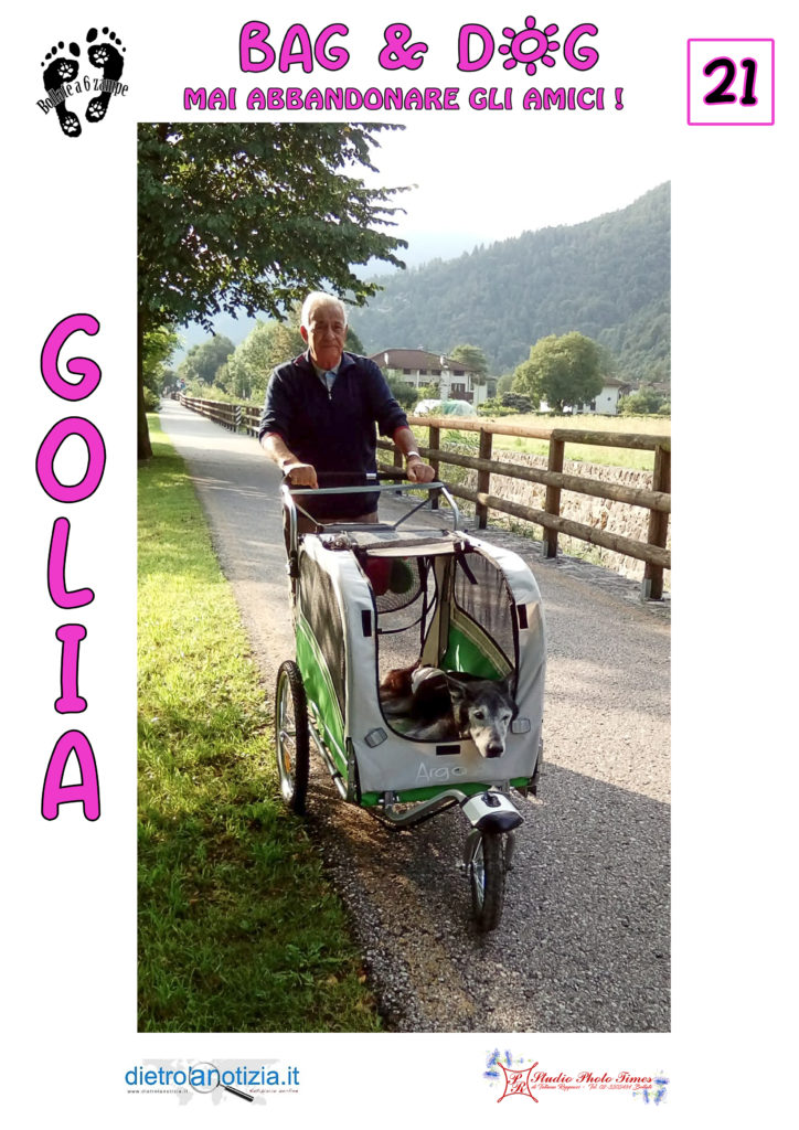 bag and dog bollate a 6 zampe