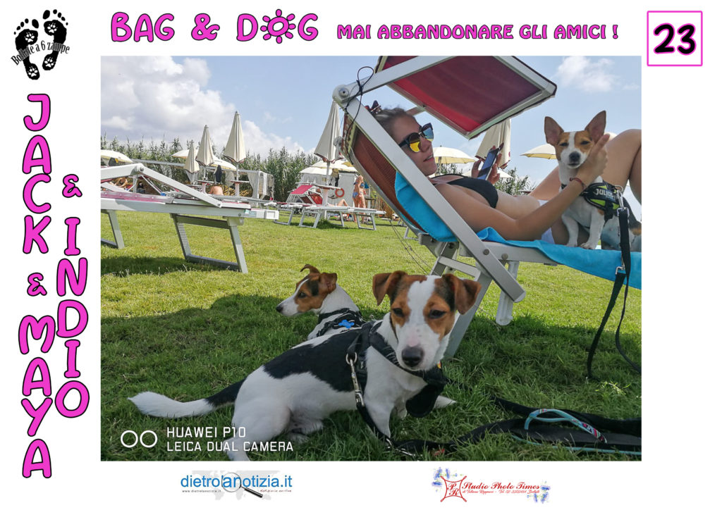 bag and dog bollate a 6 zampe