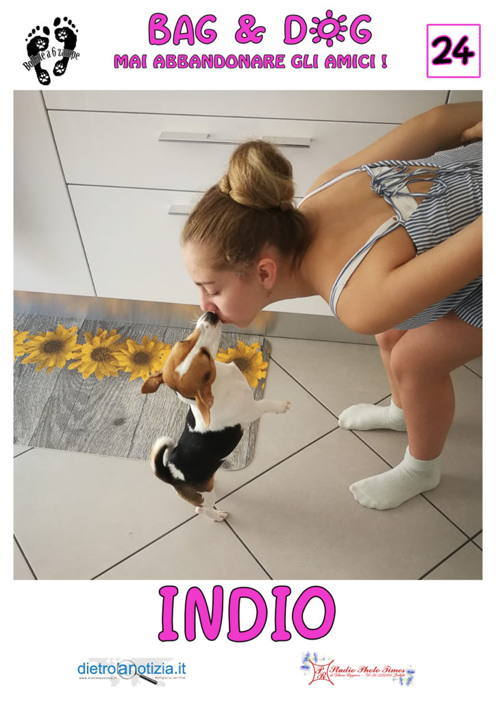 bag and dog bollate a 6 zampe