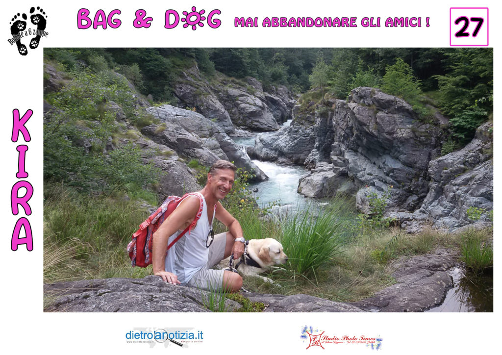 bag and dog bollate a 6 zampe