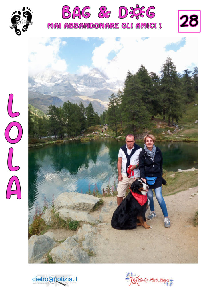 bag and dog bollate a 6 zampe