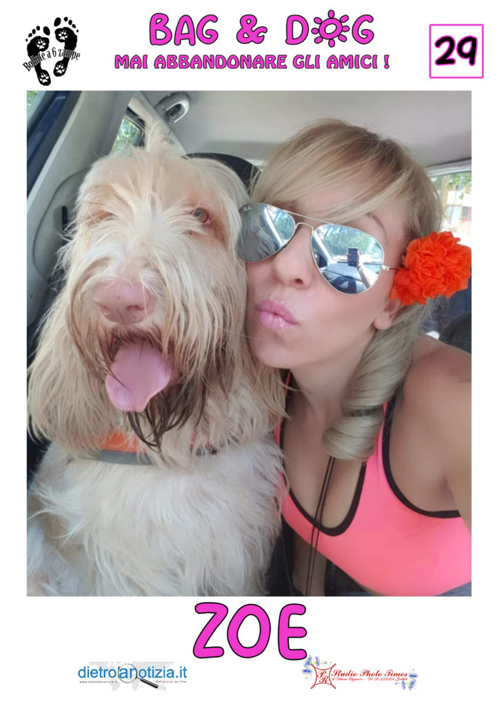 bag and dog bollate a 6 zampe