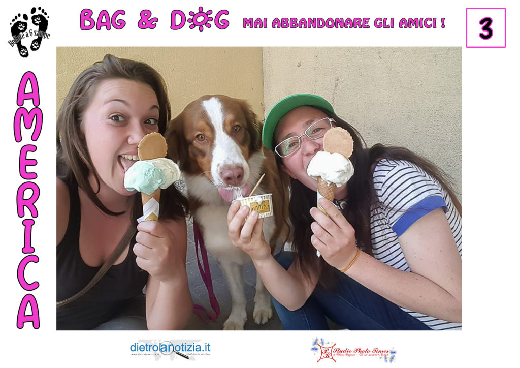bag and dog bollate a 6 zampe