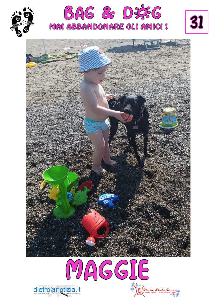 bag and dog bollate a 6 zampe