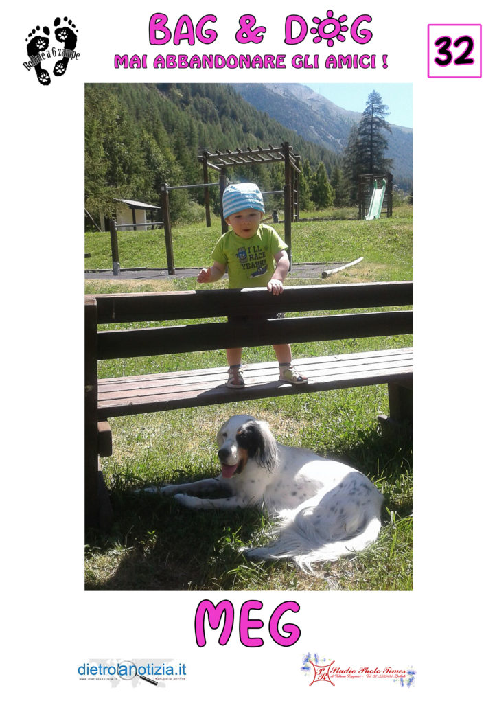 bag and dog bollate a 6 zampe