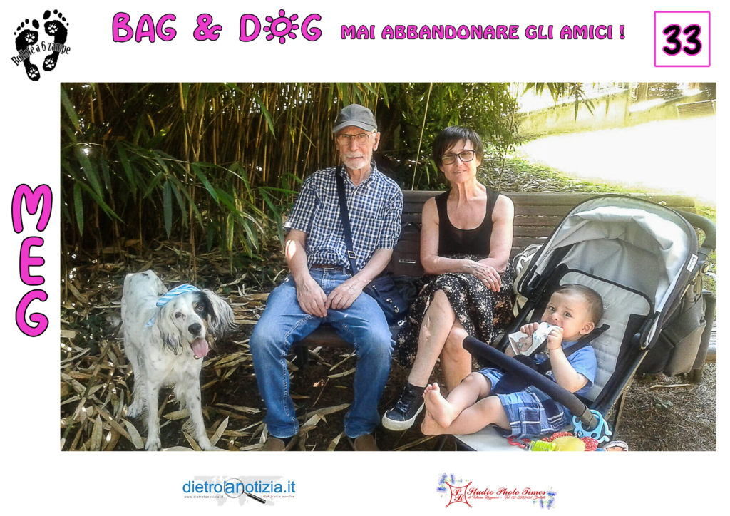 bag and dog bollate a 6 zampe