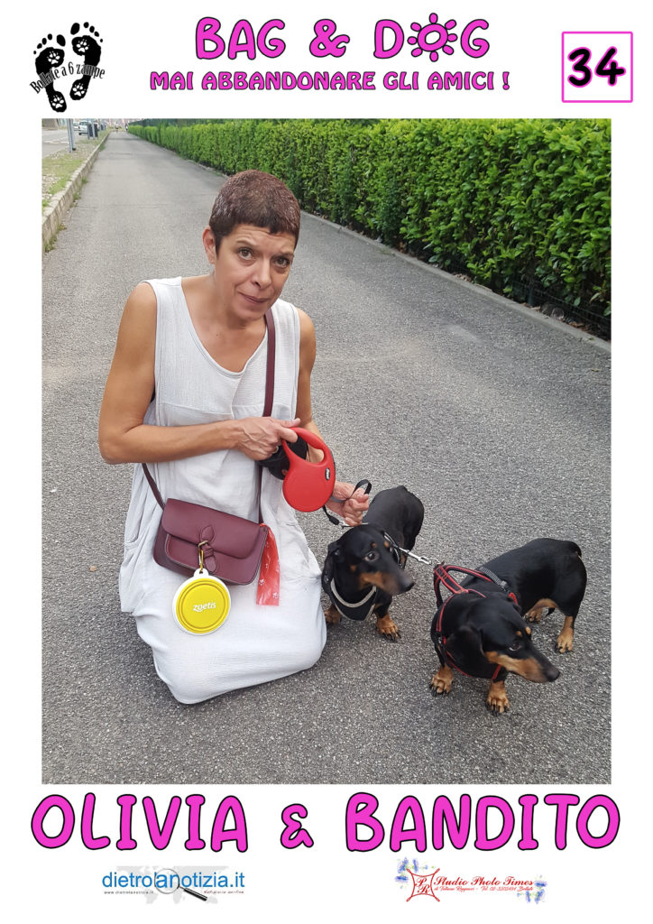 bag and dog bollate a 6 zampe