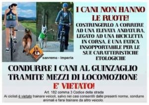 consigli utili bollate a 6 zampe