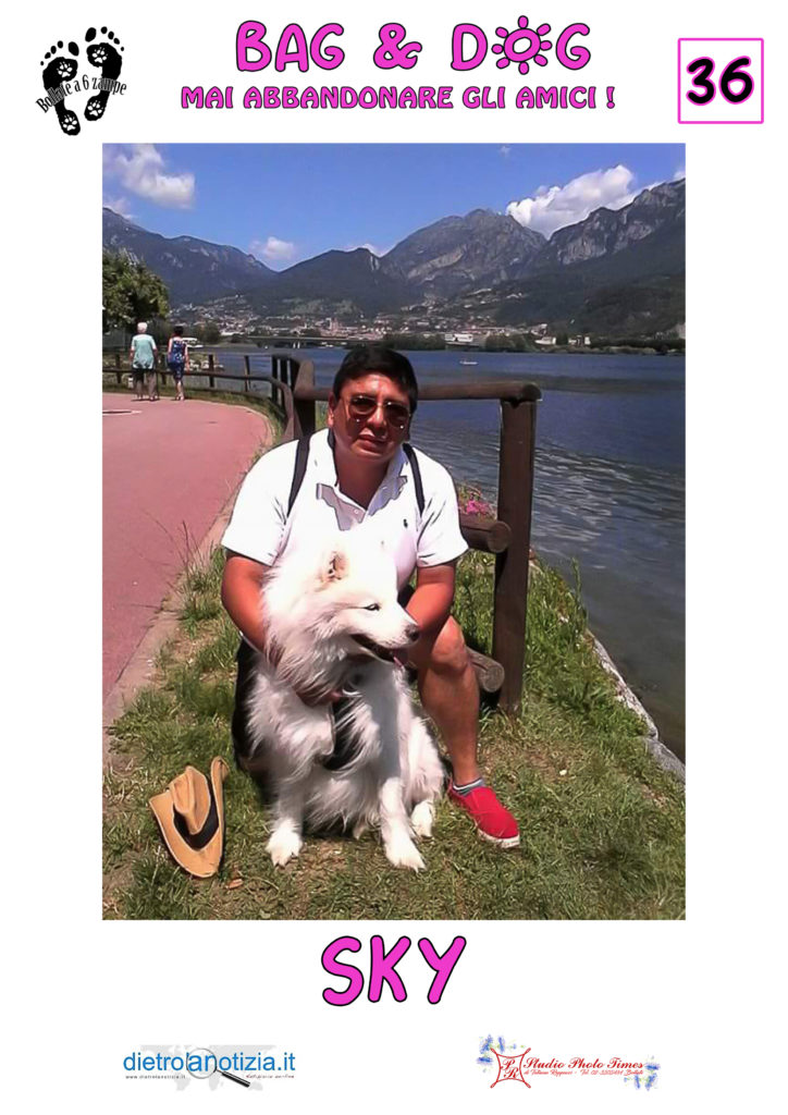 bag and dog bollate a 6 zampe