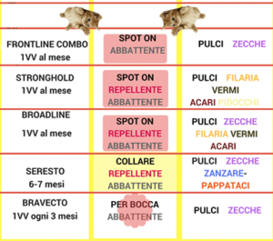 consigli utili bollate a 6 zampe