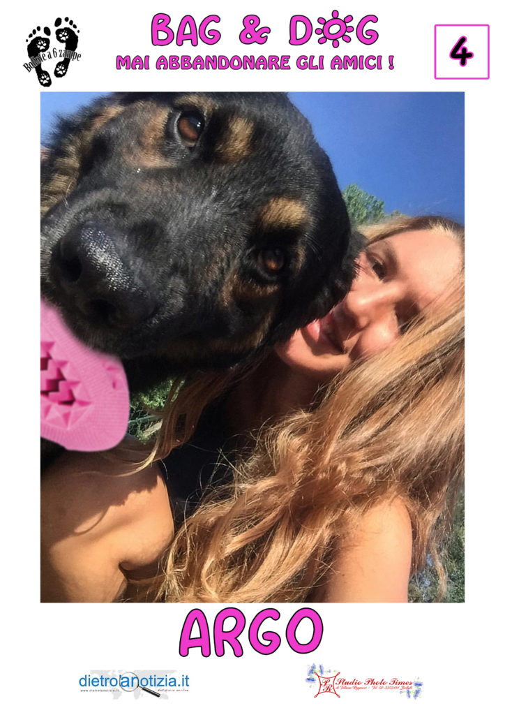 bag and dog bollate a 6 zampe