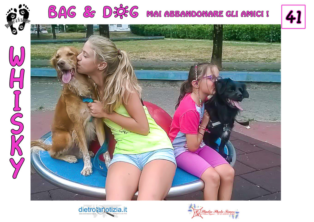 bag and dog bollate a 6 zampe