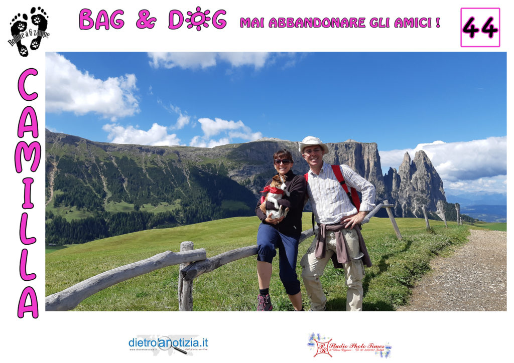 bag and dog bollate a 6 zampe