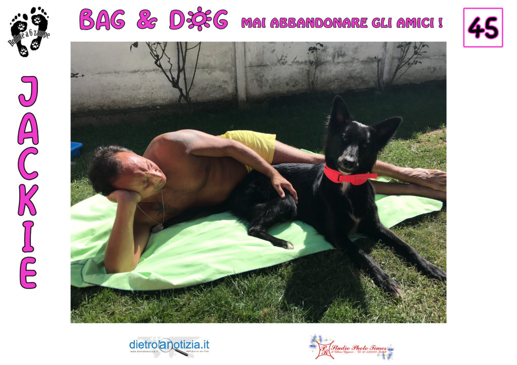 bag and dog bollate a 6 zampe