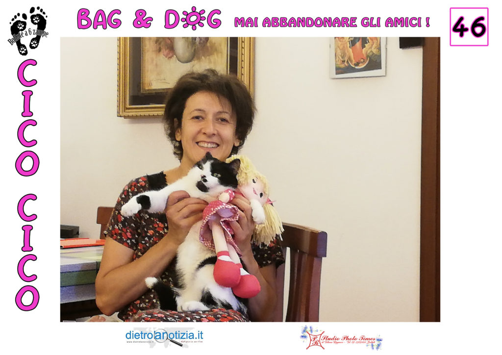bag and dog bollate a 6 zampe