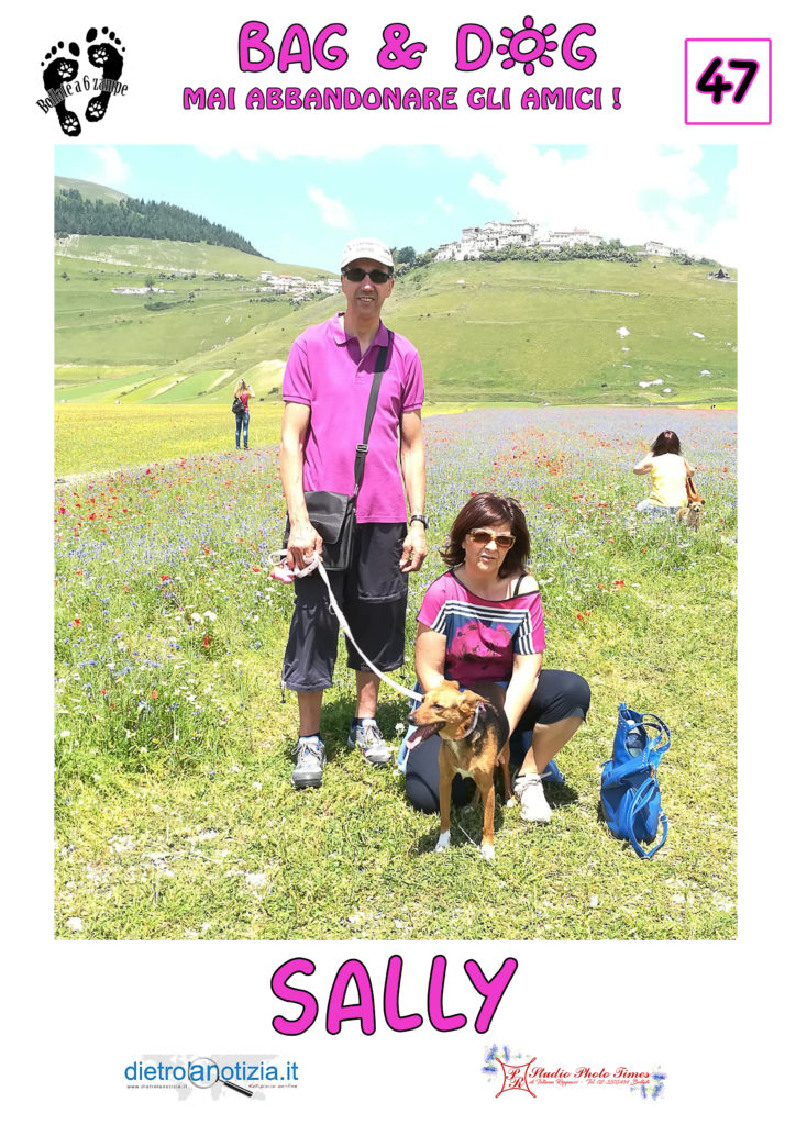 bag and dog bollate a 6 zampe