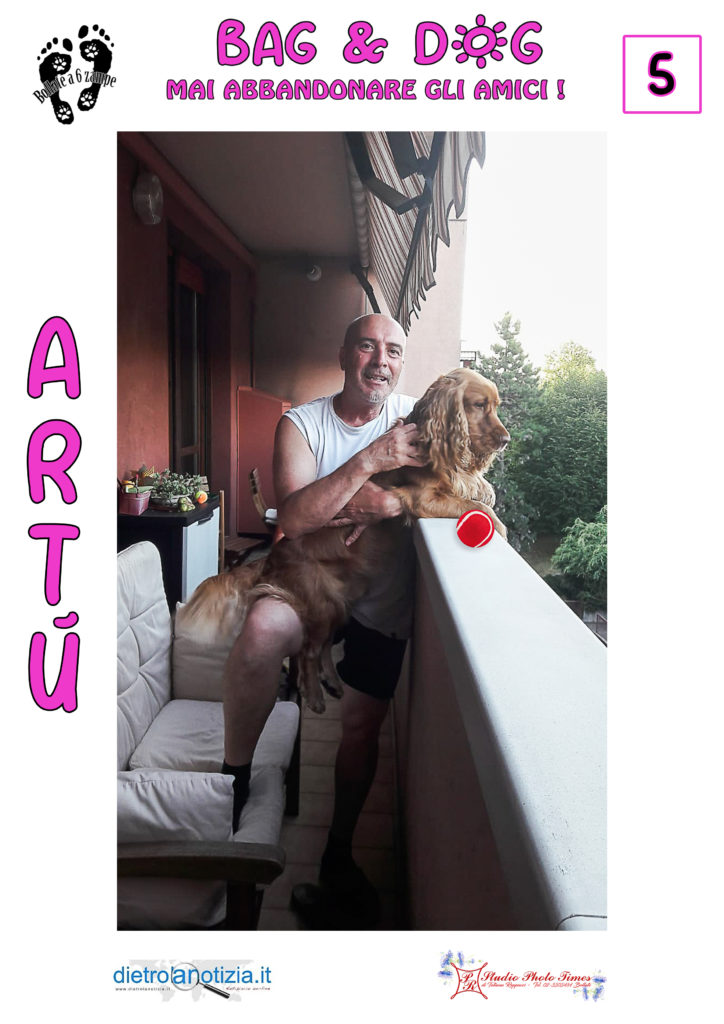 bag and dog bollate a 6 zampe