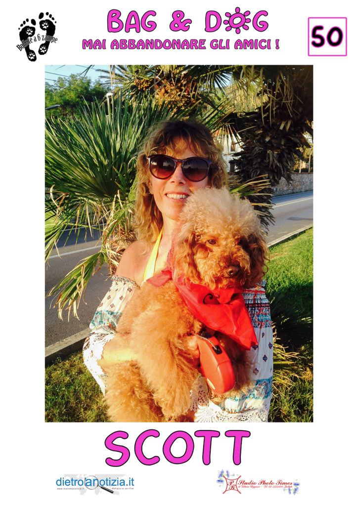 bag and dog bollate a 6 zampe