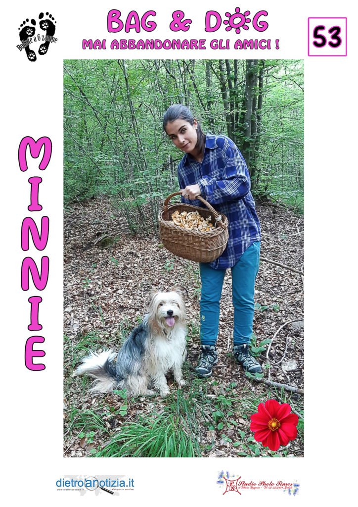 bag and dog bollate a 6 zampe