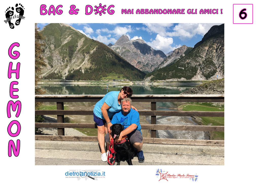 bag and dog bollate a 6 zampe