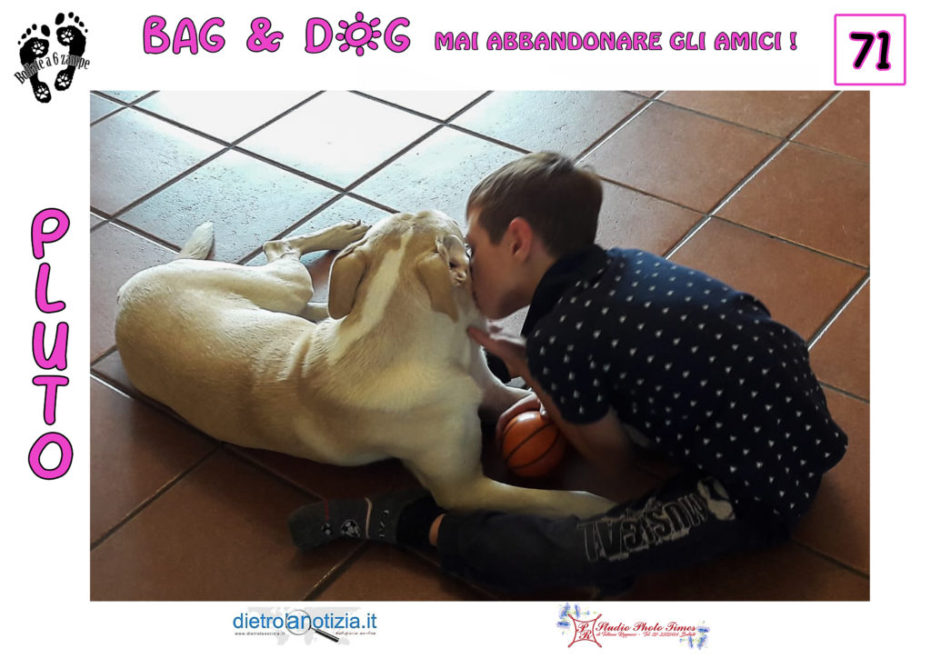 bag and dog bollate a 6 zampe