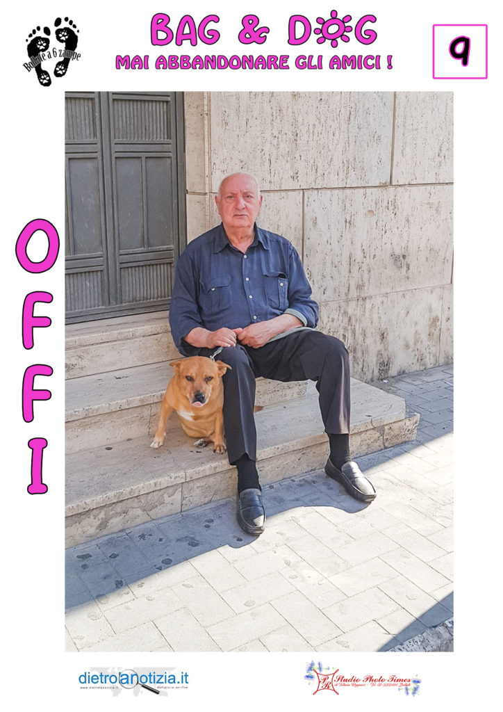 bag and dog bollate a 6 zampe