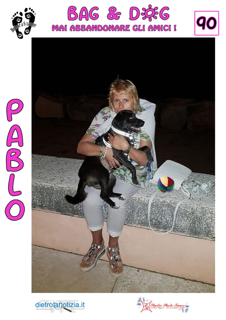 bag and dog bollate a 6 zampe