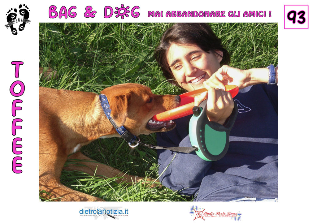 bag and dog bollate a 6 zampe