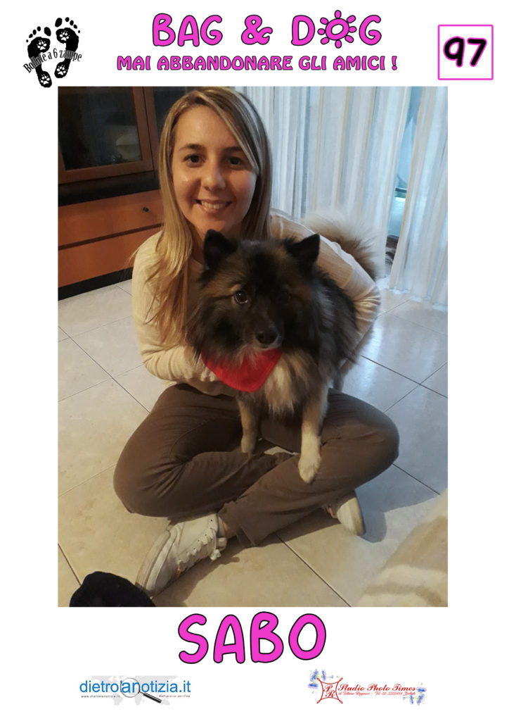 bag and dog bollate a 6 zampe