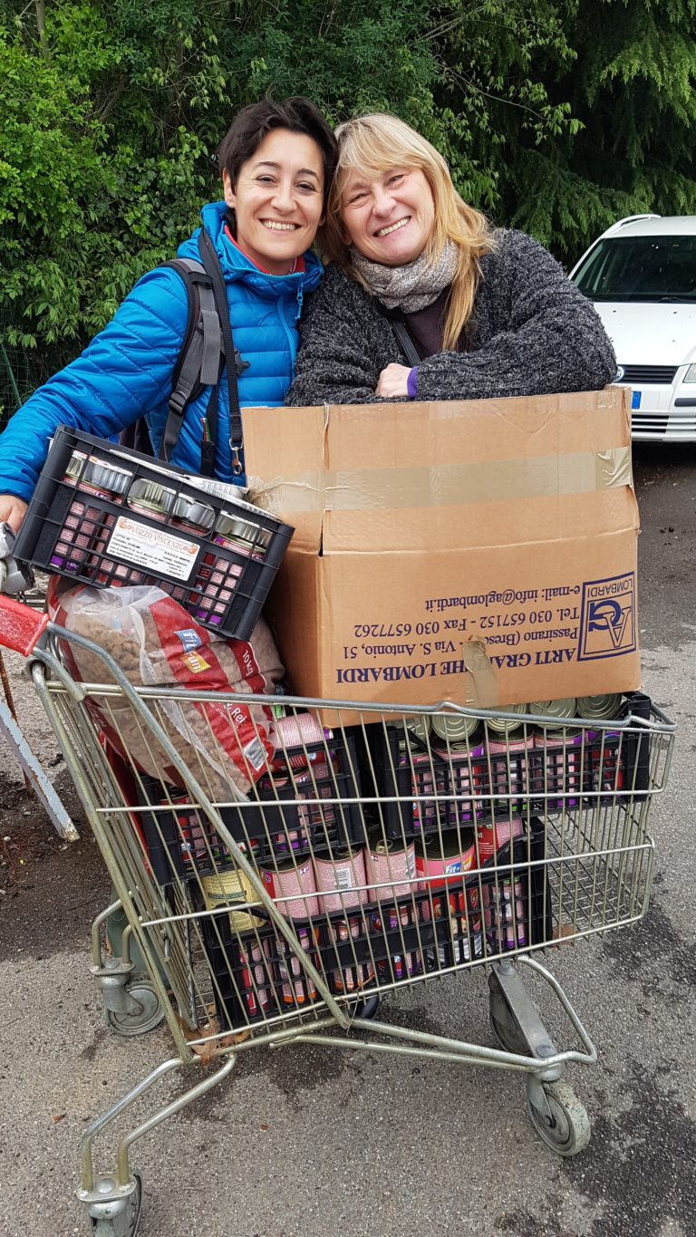 raccolte alimentari rifugi bollate a 6 zampe