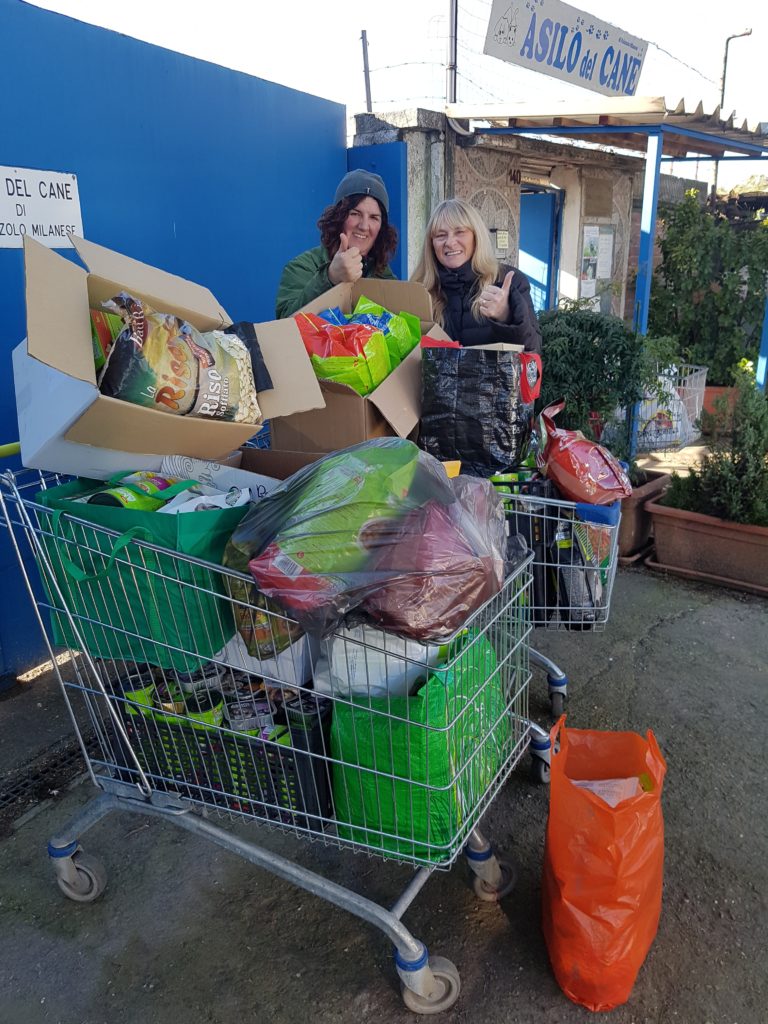 raccolte alimentari rifugi bollate a 6 zampe