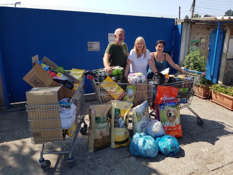 raccolte alimentari rifugi bollate a 6 zampe