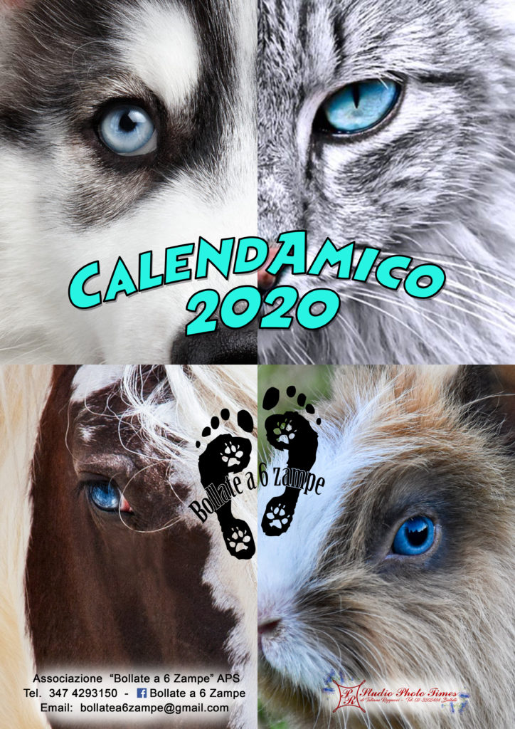 eventi bollate a 6 zampe
