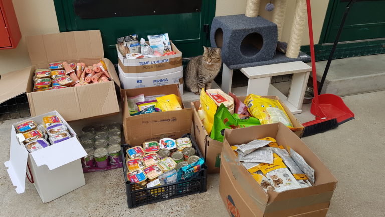 raccolte alimentari rifugi bollate a 6 zampe