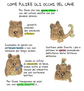 consigli utili bollate a 6 zampe